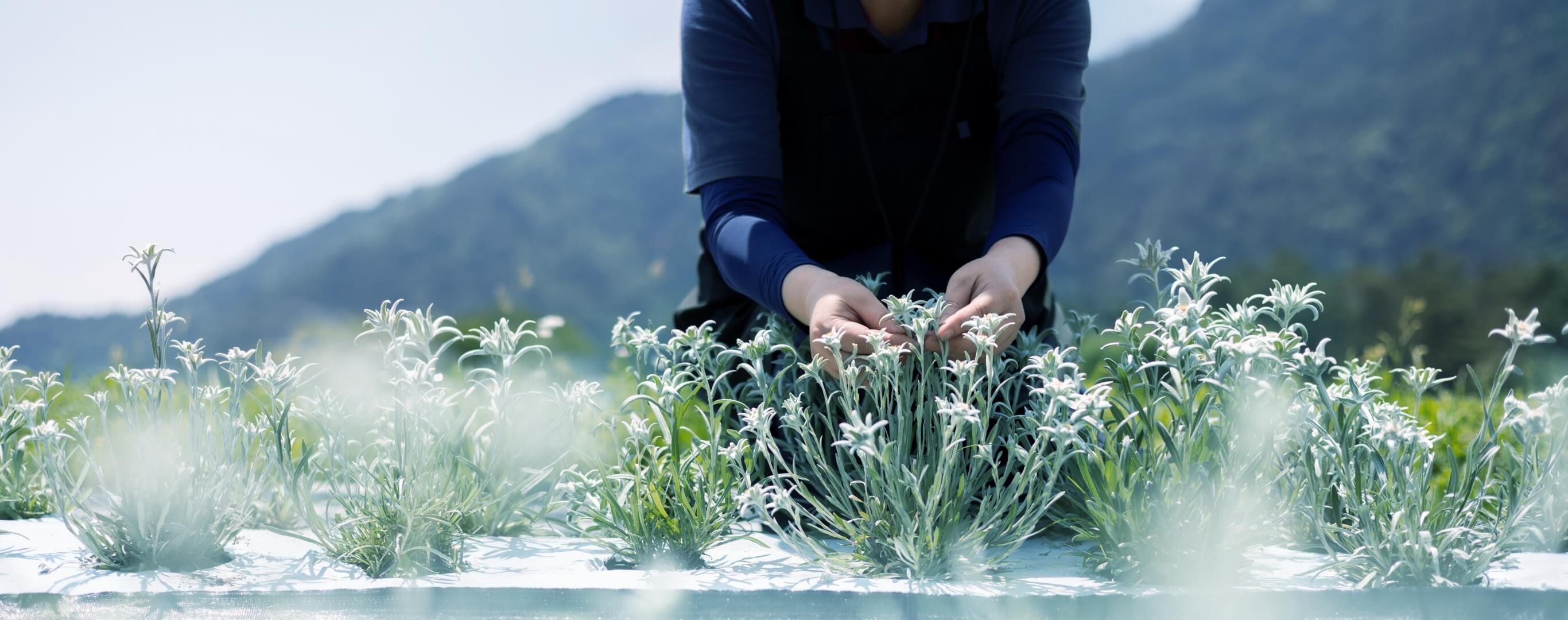 COMMITMENT ものづくりへの姿勢