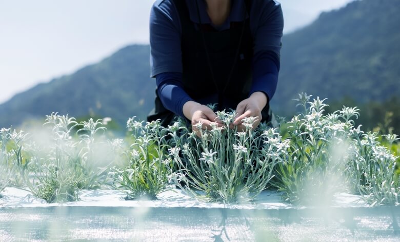 COMMITMENT ものづくりへの姿勢