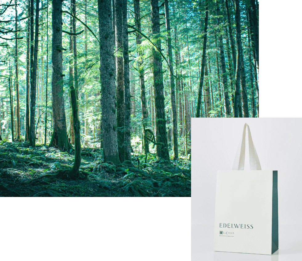 基金を通じて、次世代に自然を受け継ぐ