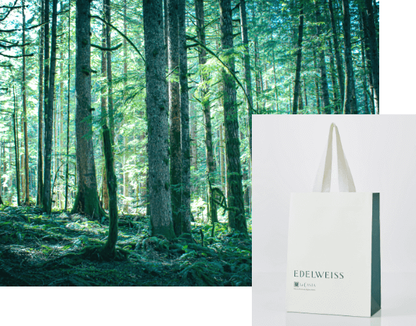 基金を通じて、次世代に自然を受け継ぐ