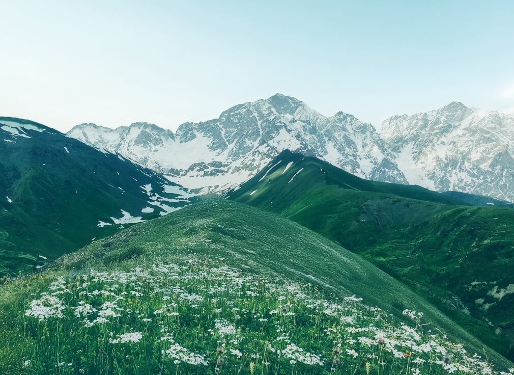 “100%天然精油”が紡ぐ、香りへのこだわり