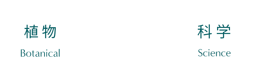 Anti-Pollution＊1 Technology 植 物Botanical 科学Science