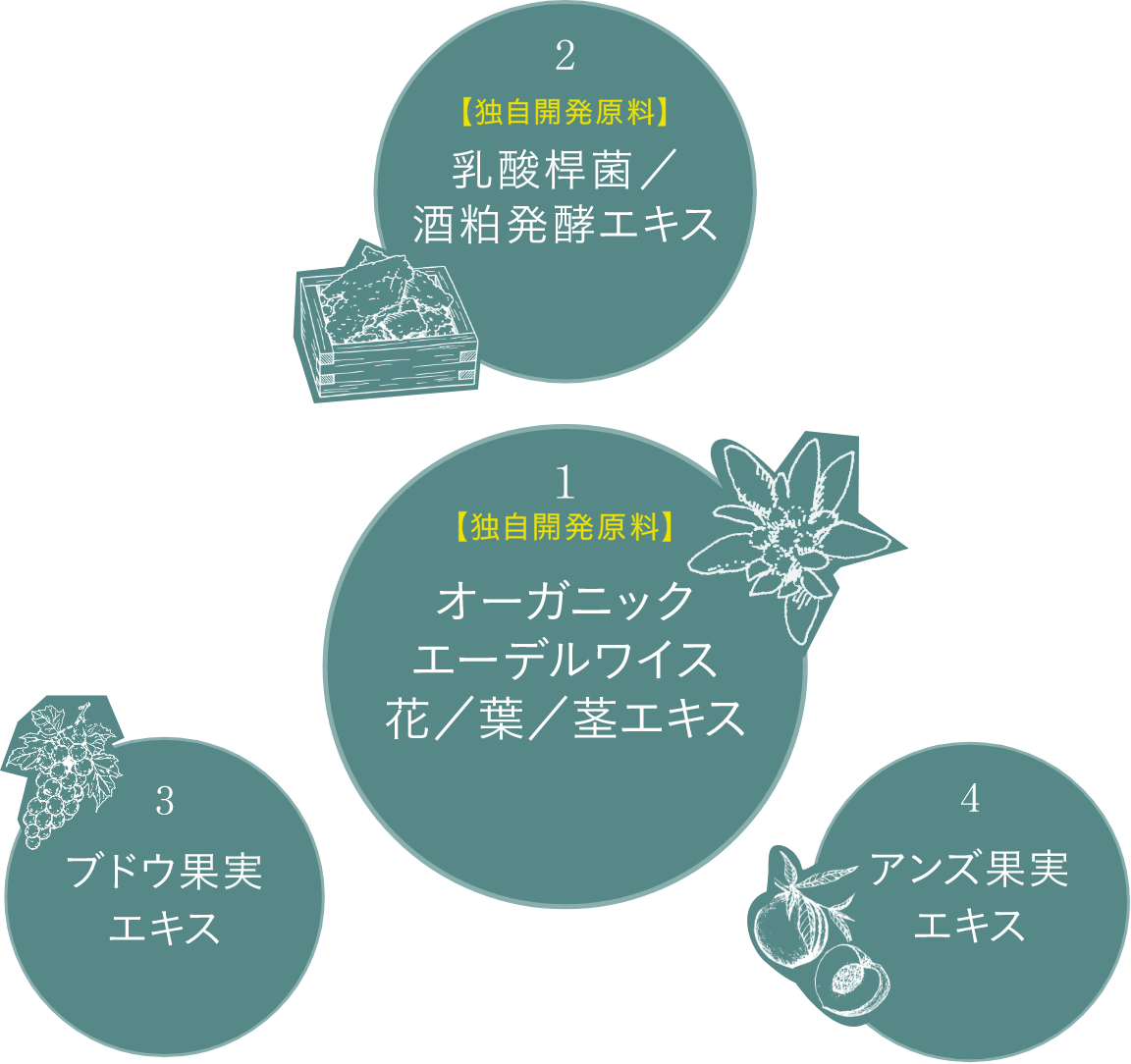 独自成分 L-EWコンプレックス＊3
