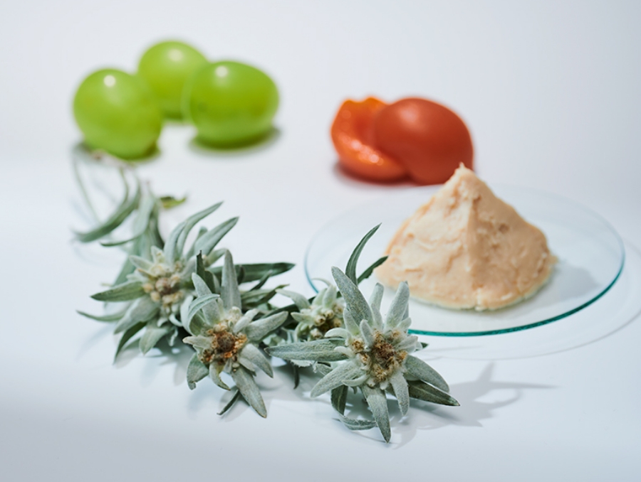 環境ストレス＊2にアプローチする独自成分「L-EWコンプレックス＊3」