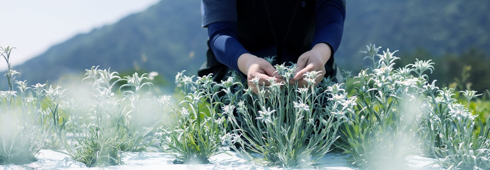 COMMITMENT ものづくりへの姿勢