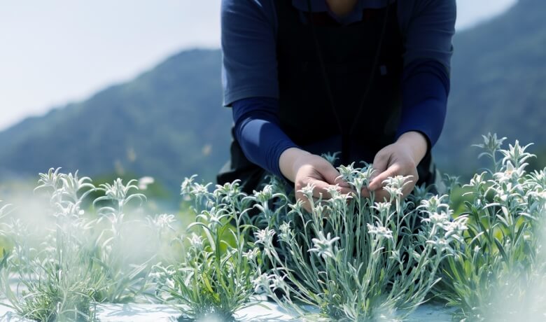 COMMITMENT ものづくりへの姿勢