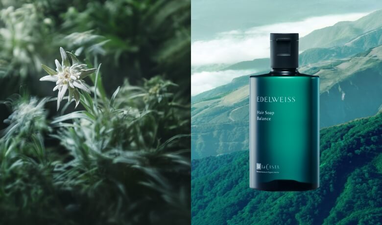 CONCEPT エーデルワイス コンセプト