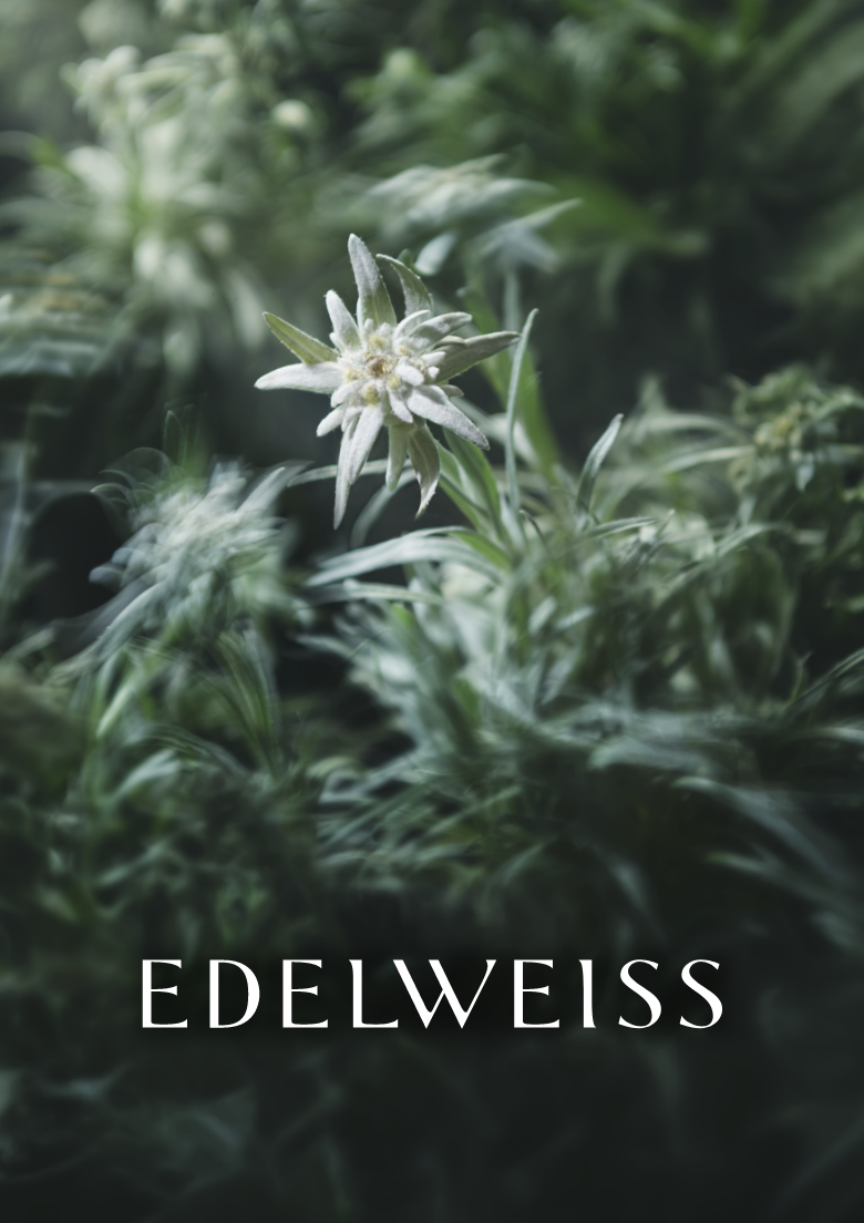 EDELWEISS