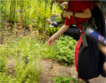 植物を想う心が、品質の源流に。