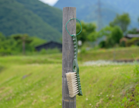 植物を想う心が、品質の源流に。