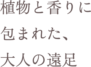 植物と香りに包まれた、大人の遠足