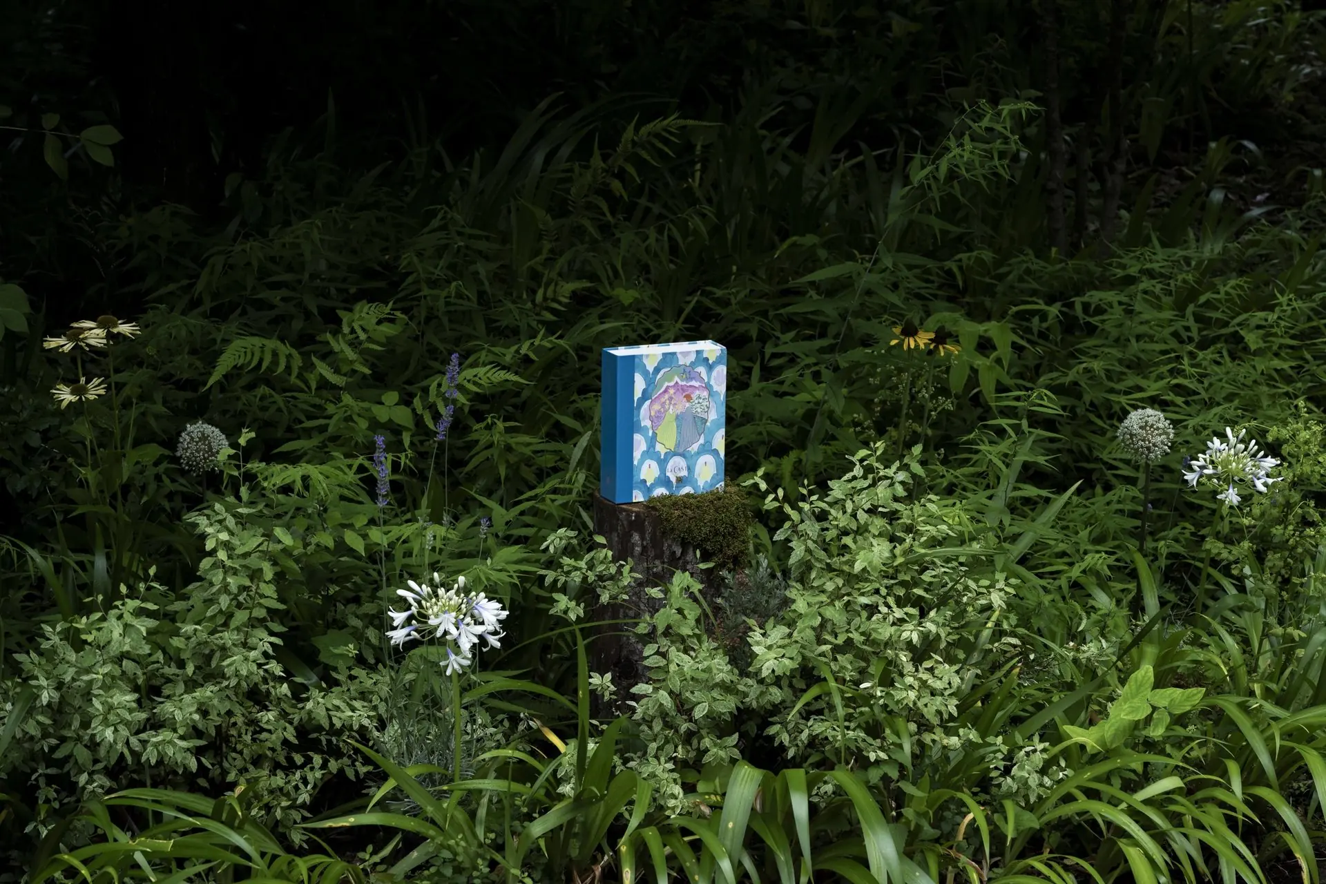 Fantasia Bloom gallery