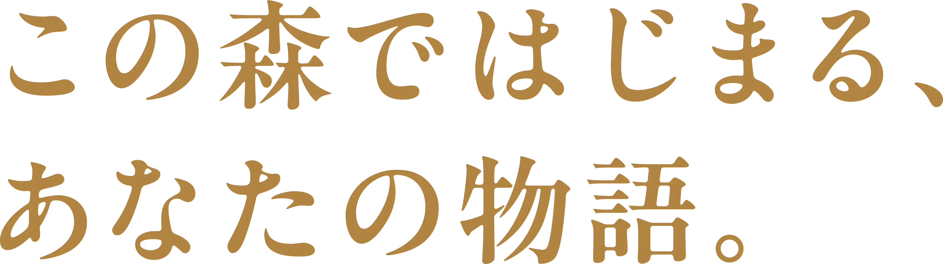 この森ではじまる、あなたの物語。