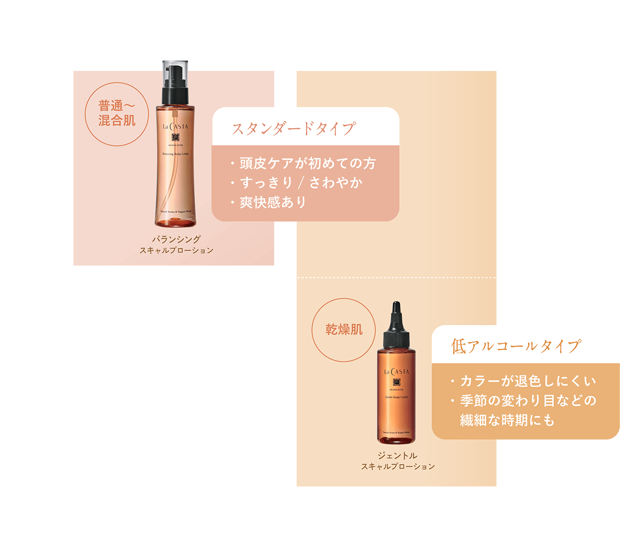 美しい髪は、健やかな頭皮から。