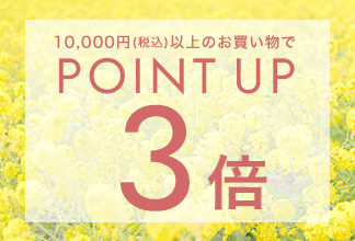 【期間限定】ポイントアップ キャンペーン 2/15(木) 11時よりスタート！