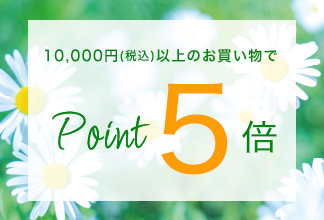 【期間限定】ポイントアップ キャンペーン 4/11(木) 11時よりスタート！