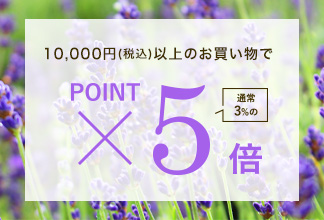 【期間限定】ポイントアップ キャンペーン7/10(木) 11時よりスタート！