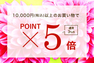 【期間限定】ポイントアップ キャンペーン10/23(木) 11時よりスタート！