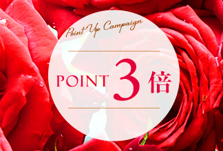 【期間限定】ポイントアップ キャンペーン2/10(火) 11時よりスタート！