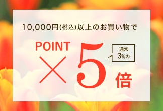 【期間限定】ポイントアップ キャンペーン4/16(木) 11時よりスタート！