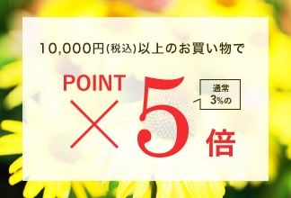 【期間限定】ポイントアップ キャンペーン7/9(木) 11時よりスタート！