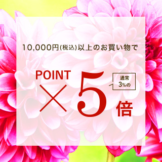 【期間限定】ポイントアップ キャンペーン10/23(木) 11時よりスタート！