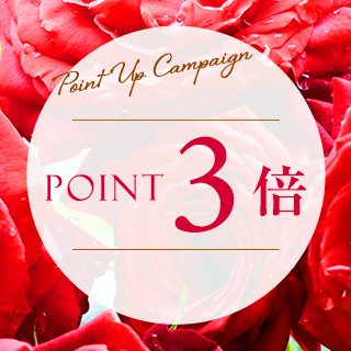 【期間限定】ポイントアップ キャンペーン2/10(火) 11時よりスタート！