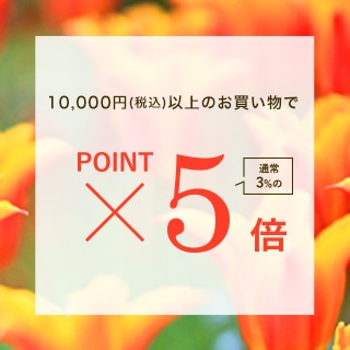 【期間限定】ポイントアップ キャンペーン4/16(木) 11時よりスタート！