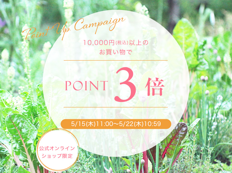 ポイント3倍