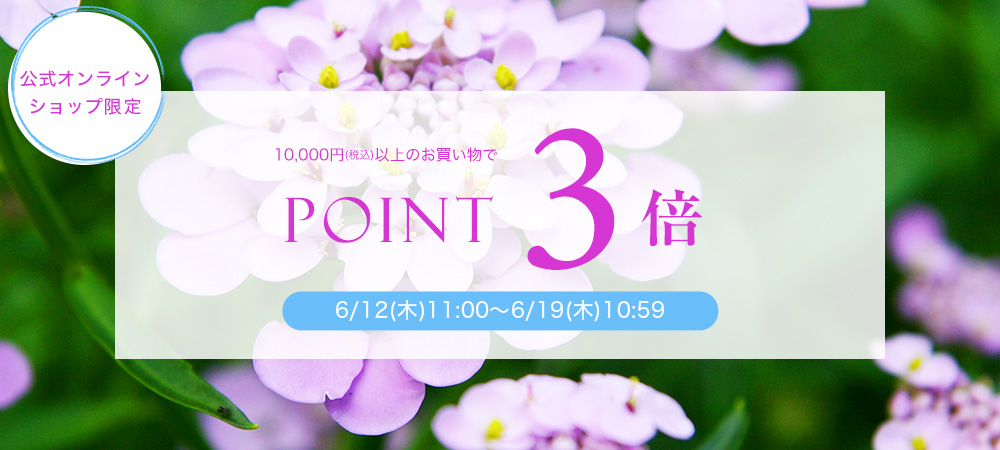 ポイント3倍