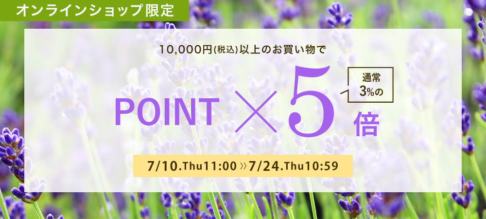 ポイント5倍