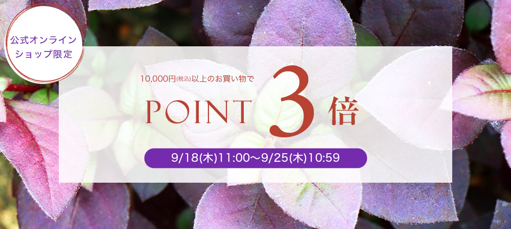 ポイント3倍