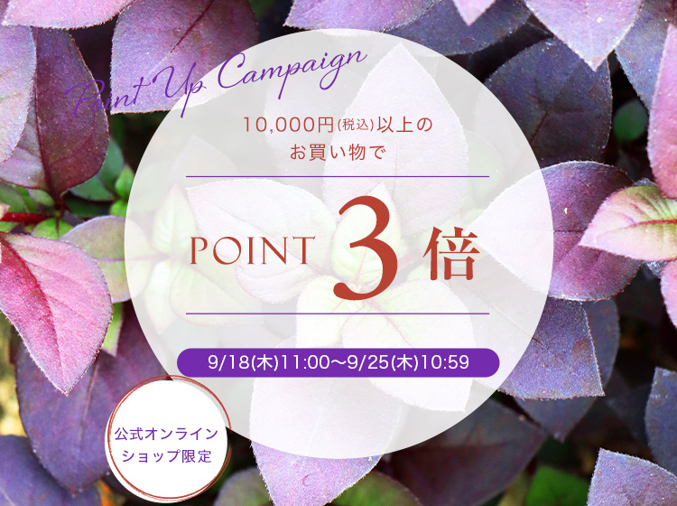 ポイント3倍