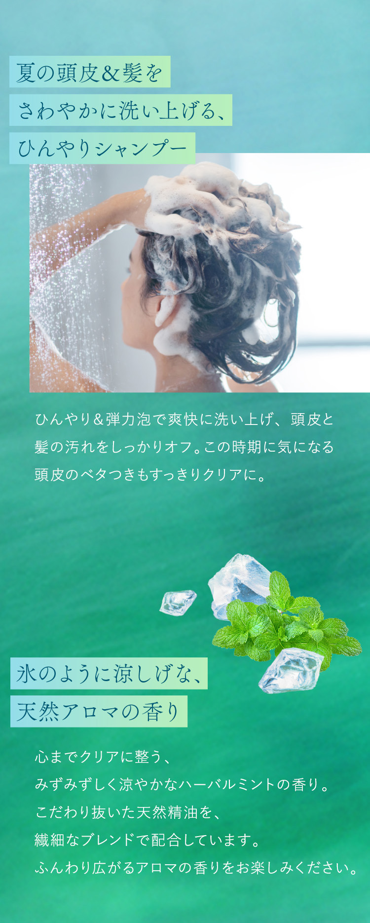夏の頭皮&髪をさわやかに洗い上げる、ひんやりシャンプー