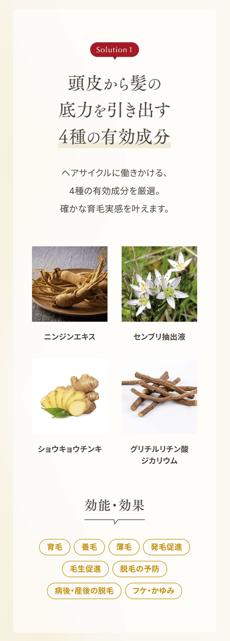 頭皮から髪の底力を引き出す
