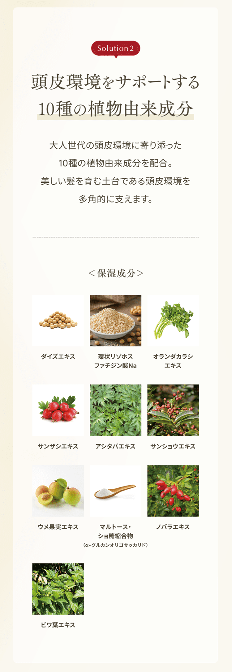 頭皮環境をサポートする