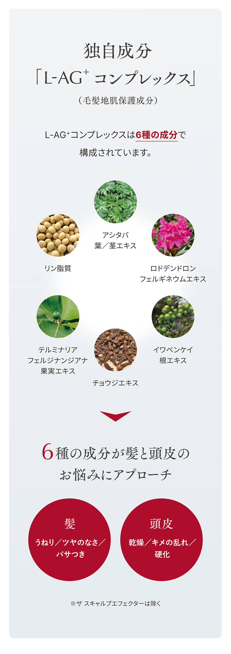 独自成分「L-AG+コンプレックス」