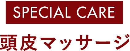 SPECIAL CARE 頭皮マッサージ