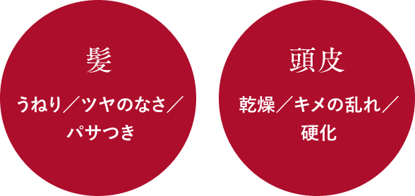 [髪]うねり／ツヤのなさ／パサつき、[頭皮]乾燥／キメの乱れ／硬化