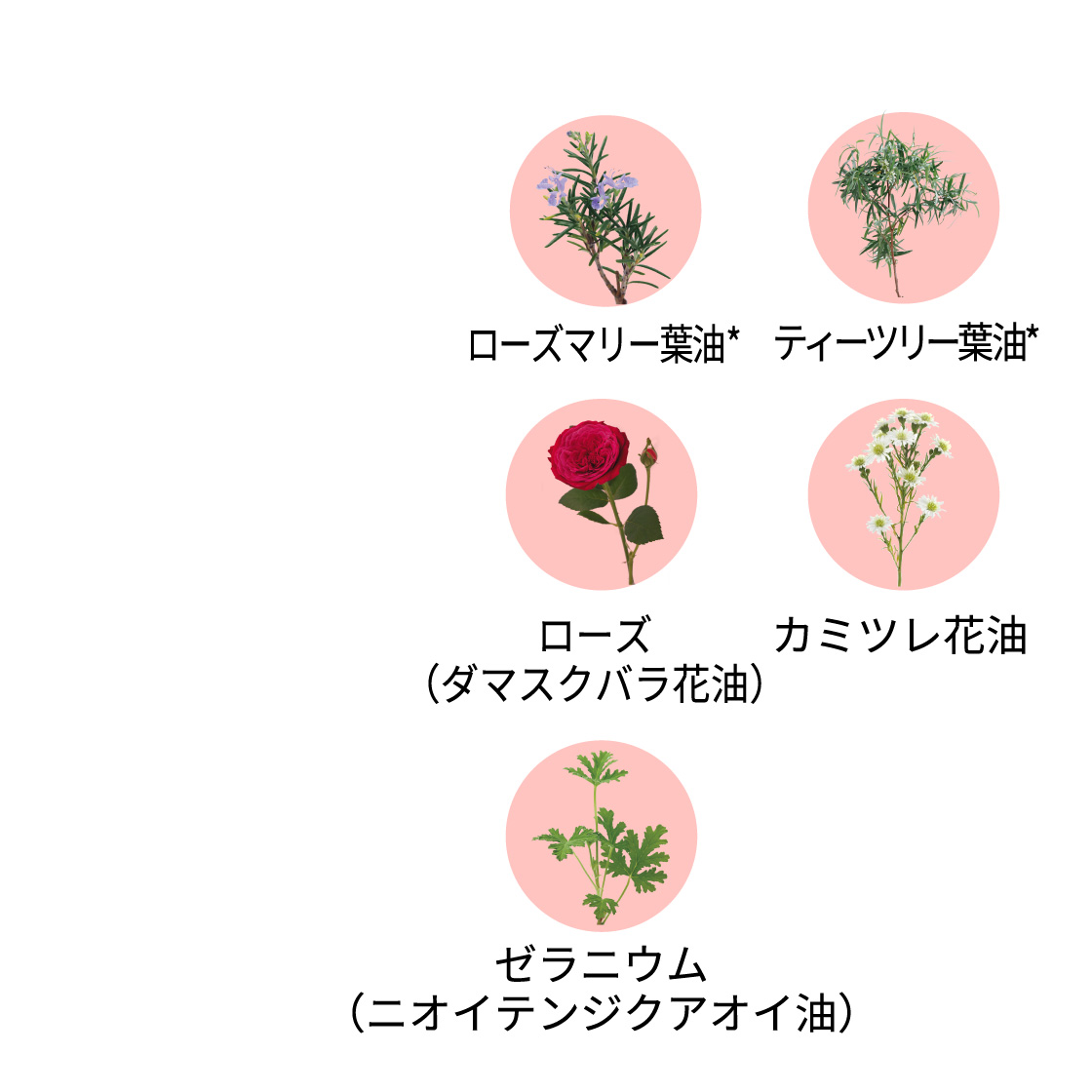 ローズマリー葉油*/ティーツリー葉油*/ローズ（ダマスクバラ花油）/カミツレ花油/ゼラニウム（ニオイテンジクアオイ油）