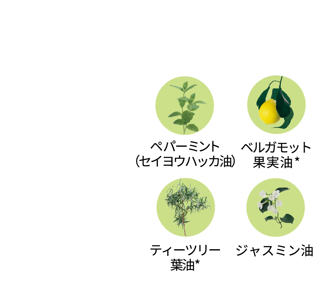 ペパーミント（セイヨウハッカ油）/ベルガモット果実油*/ティーツリー葉油*/ジャスミン油
