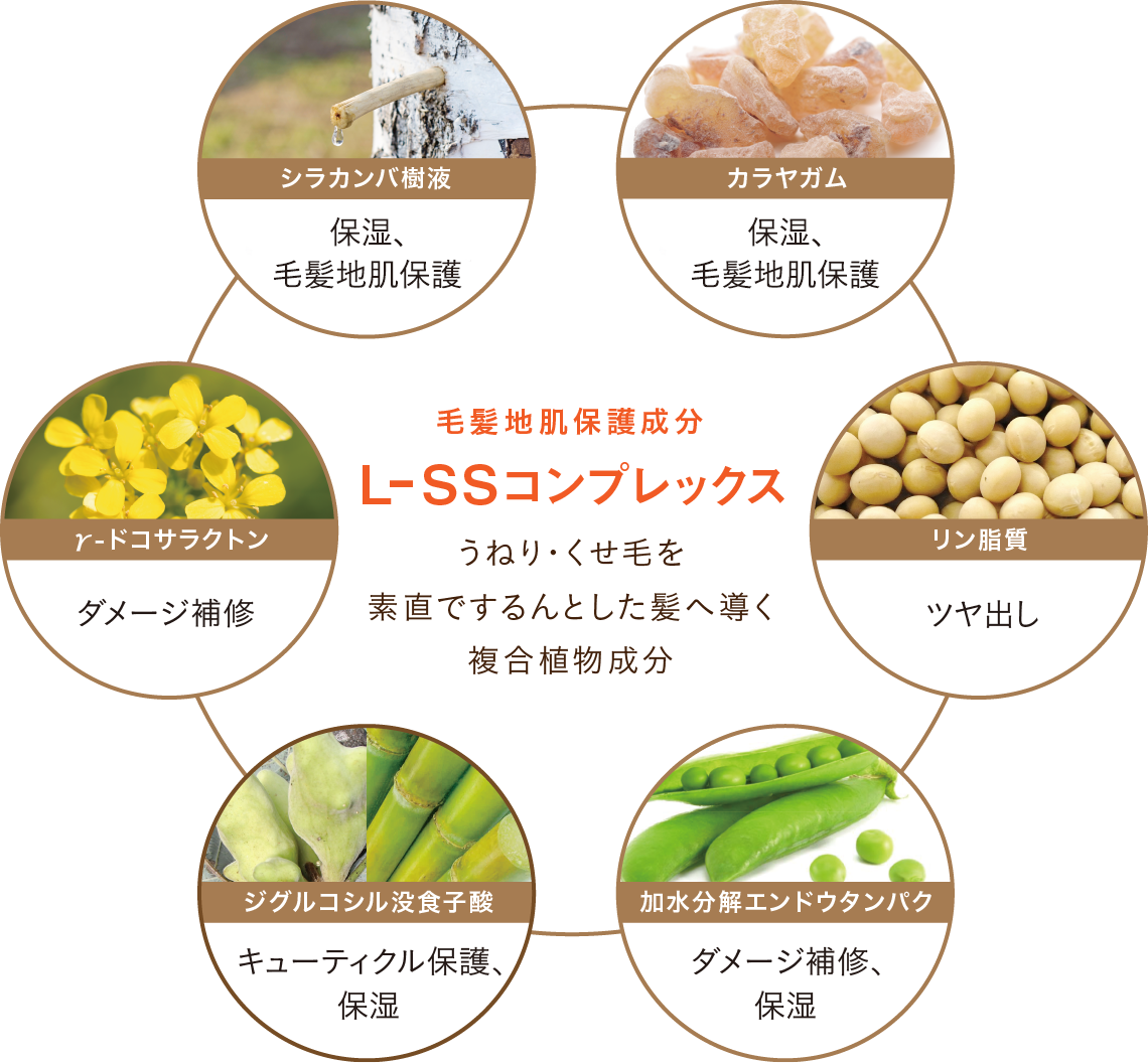 L-SSコンプレックス(毛髪地肌保護成分)