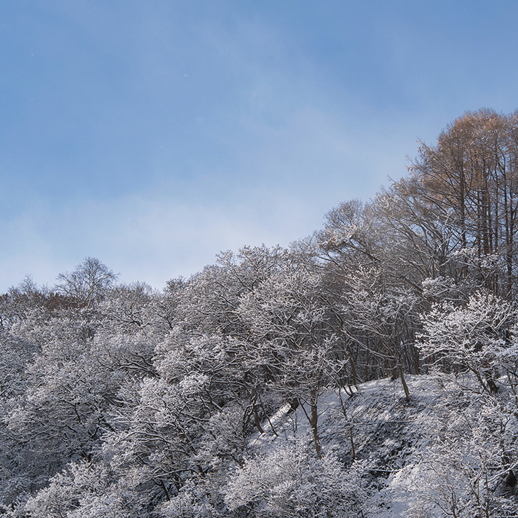 冬は髪がパサパサ…その乾燥サイン見逃し厳禁