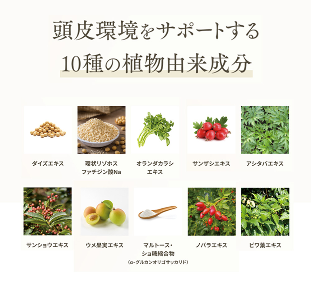 10種の植物由来成分