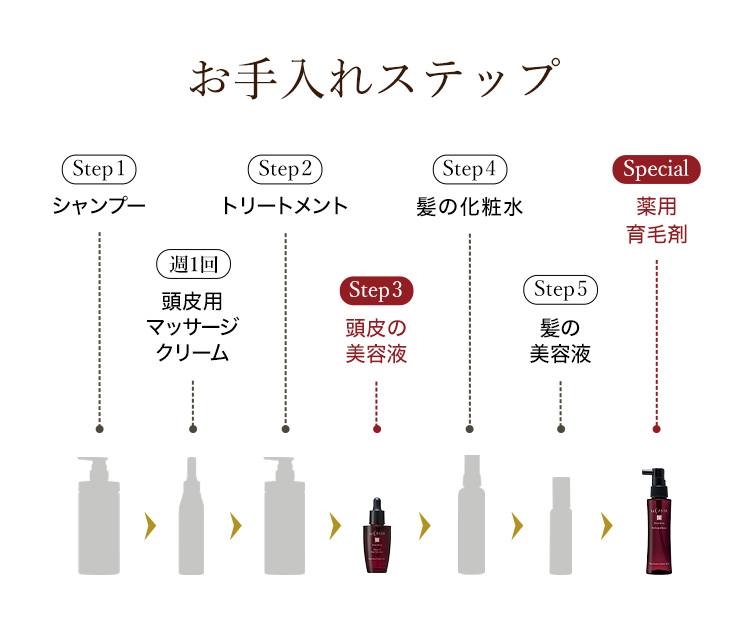 お手入れステップ