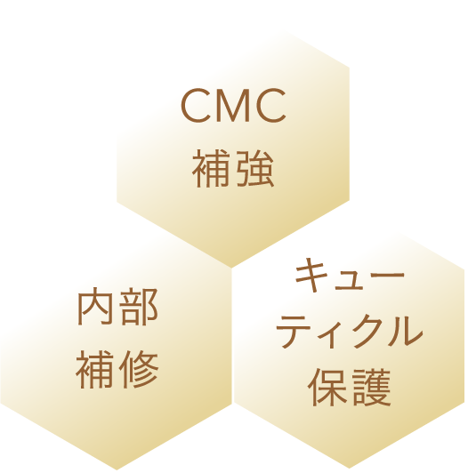 CMC補強 / キューティクル保護 / 内部補修