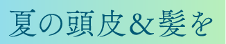 夏の頭皮＆髪を