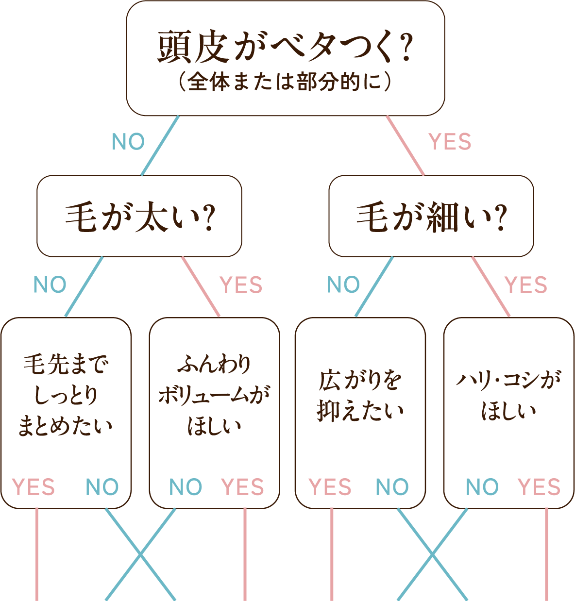 診断チャート