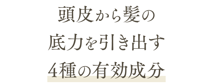 頭皮から髪の底力を引き出す4種の有効成分