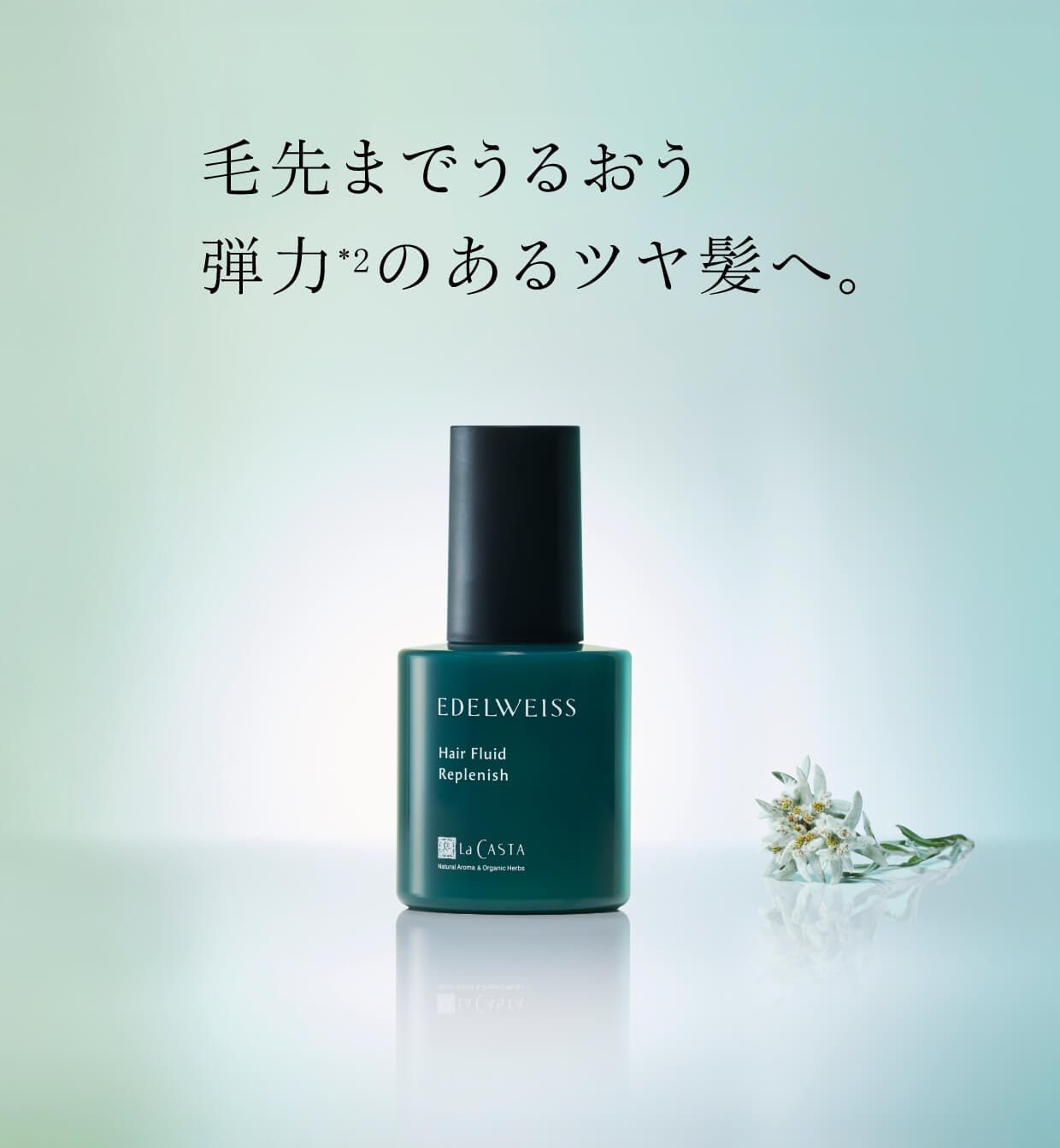 毛先までうるおう弾力*2のあるツヤ髪へ。